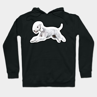 Bedlington Terrier Hoodie